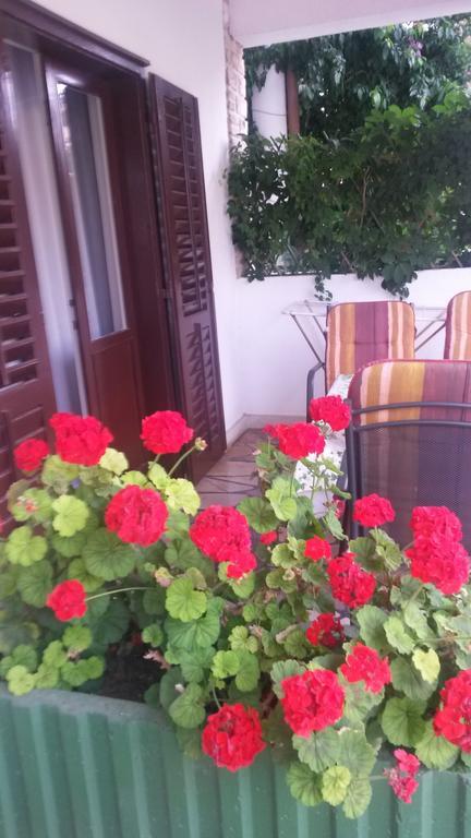 Apartments Soric Rovinj Extérieur photo